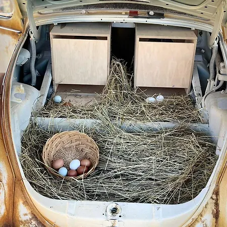 Waldeck - Urlaub Im Fränkischen Seenland Und Altmühltal Chalet Raitenbuch